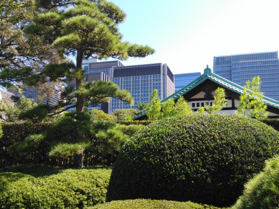 Japon 15 días por libre: Tokyo-Nikko-Kamakura-Takayama-Kanazawa-Hiroshima-Kyoto - Blogs de Japon - Tokio día 2! (4)
