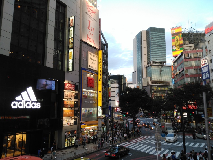 Japon 15 días por libre: Tokyo-Nikko-Kamakura-Takayama-Kanazawa-Hiroshima-Kyoto - Blogs de Japon - Tokio día 2! (11)
